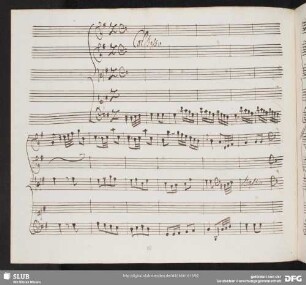 Aria: Amici cantemus a vena sonora