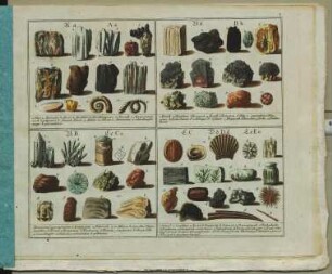 Das Mineralreich : mit 220 illuminirten Abbildungen