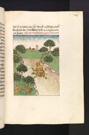 Der Affe reitet auf der Schildkröte;(Kapitel VI): Von dem Affen und der Schildkröte).