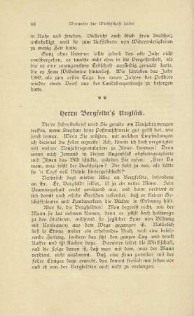 Herrn Bergfeldt's Unglück