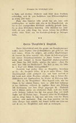 Herrn Bergfeldt's Unglück