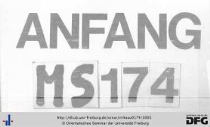 MF Mau 174
