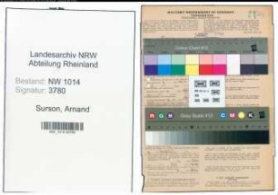 Entnazifizierung Arnand Surson , geb. 01.04.1895 (Spediteur)