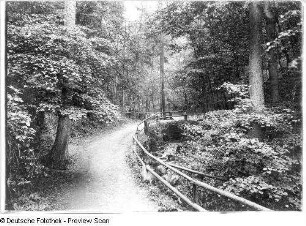 Fußweg (1780 angelegt) im Friedrichsgrund (Meixgrund)
