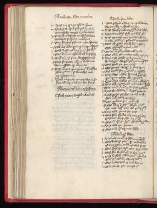 Johannes Buridanus: Quaestiones super libros Physicorum