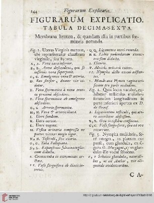 Figurarum explicatio: Tabula decem-sexta