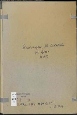 Kirchenbuchduplikat der evangelischen Gemeinde Dielingen, Kreis Lübbecke (GHT 1867-1874) (Gemeinde: Evangelische Gemeinde Dielingen)