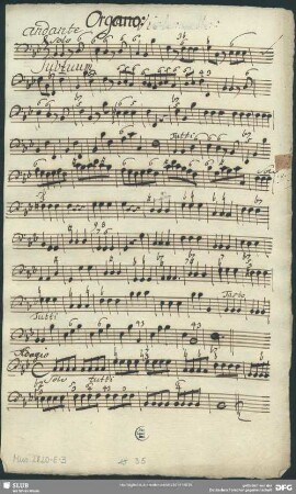 Balthasar Vilicus - Sub tuum praesidium
