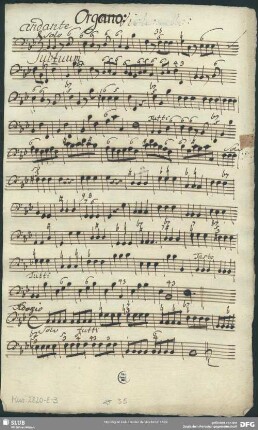 Balthasar Vilicus - Sub tuum praesidium