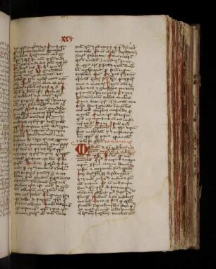 Johannes Contractus: Dominica III post pascha. (T31).