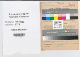 Entnazifizierung Hermann Albert , geb. 06.02.1896 (Fabrikant)