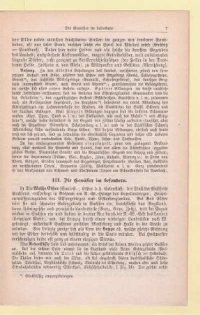 III. Die Gewässer im besondern