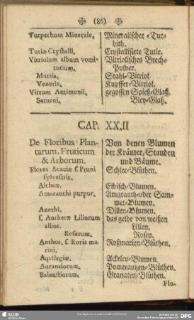 Cap. XXII. De Floribus Plantarum, Fruticum & Arborum