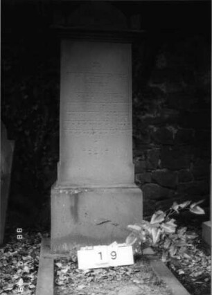 Grabstein 19 (Index: 100094851) Material: Sandstein Zustand: unten abgeblättert Maße HxBxT: 165x62x30 cm Beschreibung: Stele, profilierter Sockel, Aufsatz m. stilisiert. Eckakroteren und Rundbogen Symbolik: Ranken im Aufsatz: Grabstein 19