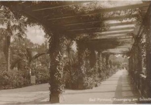 Fürstenweg (Rosengang) im Kurpark