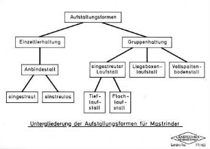 Untergliederung der Aufstallungsformen für Mastrinder