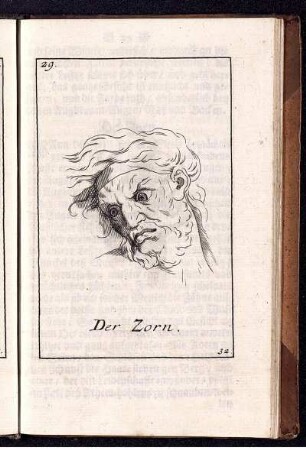 Der Zorn.