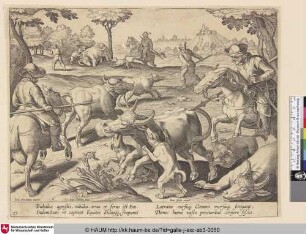 [Büffeljagd; Buffalo hunt]