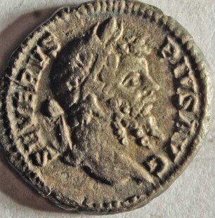 Römische Münze, Nominal Denar, Prägeherr Septimius Severus, Prägeort Rom, Original