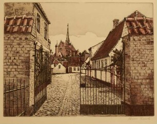Hadersleben mit Marienkirche