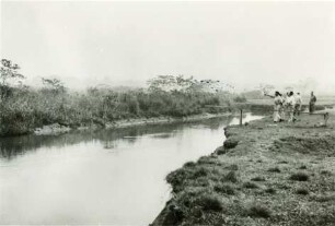 Talaue des Rio Cachoeirinha in der Nähe von Olímpia
