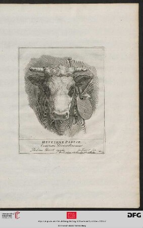 Huitieme Partie, Contenant Divers Animaux