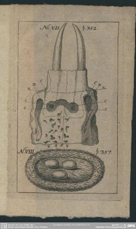 No. VII. S. 352; No. VIII. S. 357