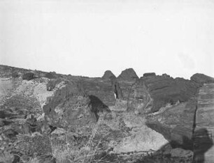 Im Petrified-Forest-Nationalpark : Blick auf versteinerte Baumstämme