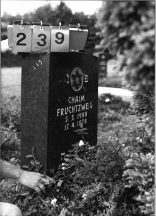 Grabstein 239