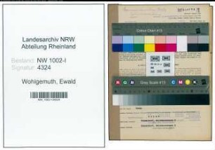 Entnazifizierung Ewald Wohlgemuth, geb. 08.01.1909 (Sachbearbeiter)