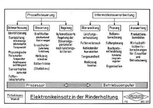 Elektronikeinsatz in der Rinderhaltung
