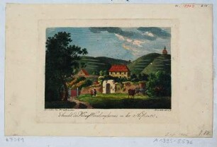 Ansicht der Weinberge in Radebeul-Oberlößnitz, Blick auf das Weingut Hoflößnitz mit dem Schloss (Berg- und Lusthaus)