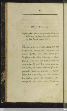 VIII. Kapitel. Englisches Geschwader