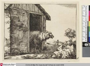 [Un mouton sortant d'un étable qui est à la gauche de l'estampe; Ein Schaf schaut aus einem Stall]