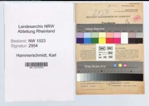 Entnazifizierung Karl Hammerschmidt , geb. 13.03.1903 (Zollinspektor)