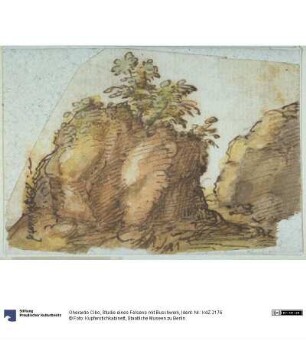 Studie eines Felsens mit Buschwerk