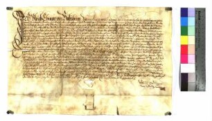 Ulrich Ehinger von Bolzheim bekundet als Bevollmächtiger des Hieronymus Neithart von Baustetten, von Graf Rudolf zu Helfenstein die zwei Lehenhöfe zu Baustetten, der derzeit Martin Henlin und Barthlme Stötter besitzen, empfangen zu haben.