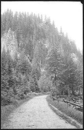 Schwarzwassertal. Im Tal