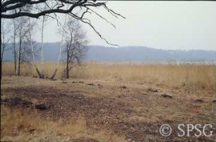 Potsdam, Park Sacrow, Blick nach Glienicke.