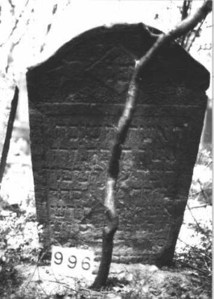 Grabstein 996 (Index: 99899559) Material: Sandstein Zustand: teilweise verwittert Maße HxBxT: 99x58x9 cm Beschreibung: Stele mit Konvexbogenabschluss, im Bogenfeld Blüten, etwas eingesunken Symbolik: Blüten: Grabstein 996