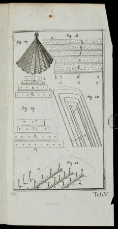 Tab. V. fig. 17 - fig. 21