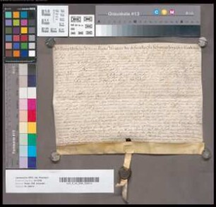 Georg Wilhelm Usener, Amtsverweser der Schenken zu Schweinsberg, reversiert über die Belehnung seines Herrn Carl Ludwig Schenken zu Schweinsberg mit dem Oberhof und Gericht zu Fronhausen. - Es siegelt der Aussteller.