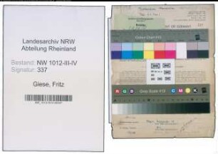 Entnazifizierung Fritz Giese , geb. 24.01.1898 (Lehrer)