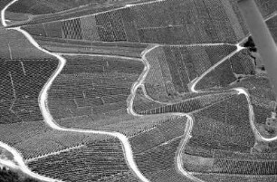Durbach: Weinberge