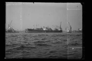 Willi Reith (1953), Orion, Hamburg