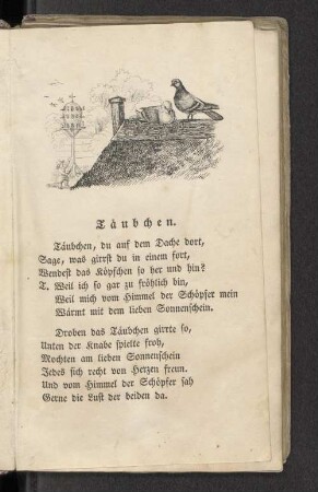Täubchen.