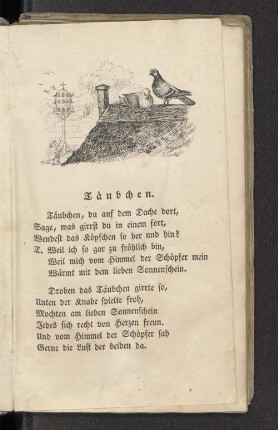 Täubchen.