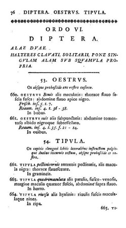 Ordo VI. Diptera