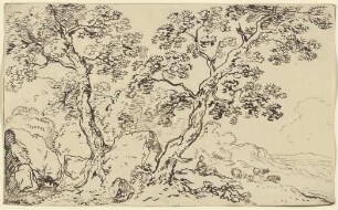 Zwei Laubbäume in der Landschaft stehend
