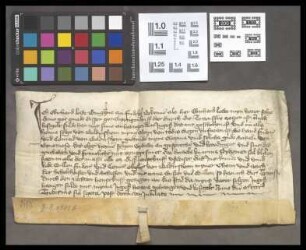 Bellersheim: Eberhard Löw, Burggraf zu Friedberg, bekundet, dass er einen Wittumsbrief seines verstorbenen Oheims Henne v. Bellersheim für dessen ...